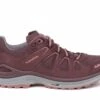 Lowa Innox EVO GTX Lo Ws Altrosa