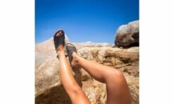 Sun Hemp -ALTERCORE Sales Store 005257 8 3