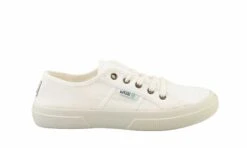 NATURAL WORLD Blossom Blanco