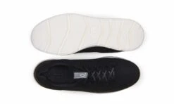 Danny Black -ALTERCORE Sales Store 005381 5 3