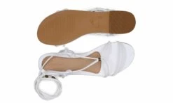 Clarissa White -ALTERCORE Sales Store 005389 5 3