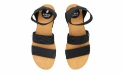 Altea Black -ALTERCORE Sales Store 005400 7 12