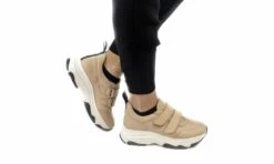 Coline -ALTERCORE Sales Store 005403 6 2