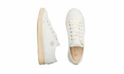 Life Cloud -ALTERCORE Sales Store 005446 6 4