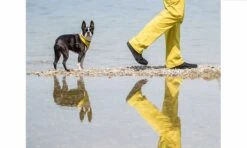 FX Trainer 5 Black -ALTERCORE Sales Store 005450 6 1