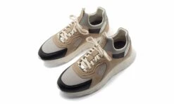 Larch Falcon -ALTERCORE Sales Store 005510 5 3