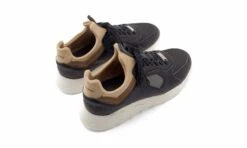 Larch Buzzard -ALTERCORE Sales Store 005511 6 3