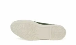 NATURAL WORLD Old Apricot Olivia -ALTERCORE Sales Store 005906 6 2