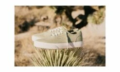 Clae August Cedar Hemp -ALTERCORE Sales Store 005916 7 1