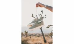 Clae August Cedar Hemp -ALTERCORE Sales Store 005916 8 1