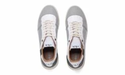 Alder Forest -ALTERCORE Sales Store 005919 7 1