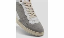 Alder Forest -ALTERCORE Sales Store 005919 8 1