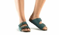 Darco PET -ALTERCORE Sales Store 005925 6 3