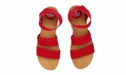 Altea Red -ALTERCORE Sales Store 005939 7 5