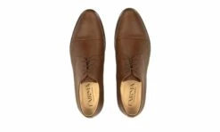 HENRY BIOECO Nut -ALTERCORE Sales Store 005994 5 4