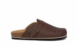 Plakton Blog Chocolate