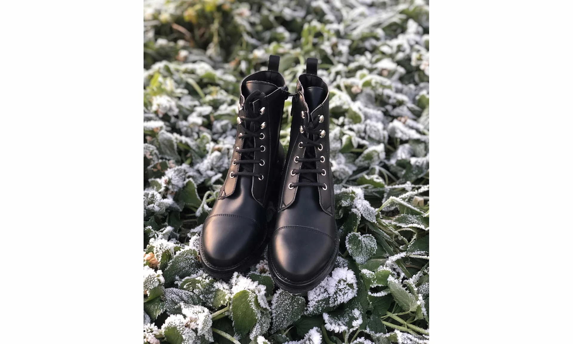 Lassie Black 7 Lassie Black - Image 7