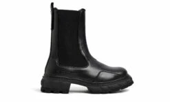 PARADIGM Black Apple