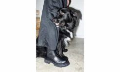 PARADIGM Black Apple -ALTERCORE Sales Store 006309 9 1