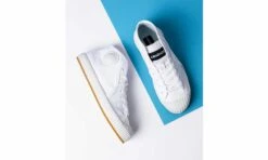 ICNS PARTIZAN MONOWHITE -ALTERCORE Sales Store 006345 9 2