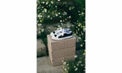 ICNS SPARTAK BLACK & WHITE -ALTERCORE Sales Store 006346 8 3