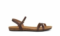 Plakton Marbella Chocolate