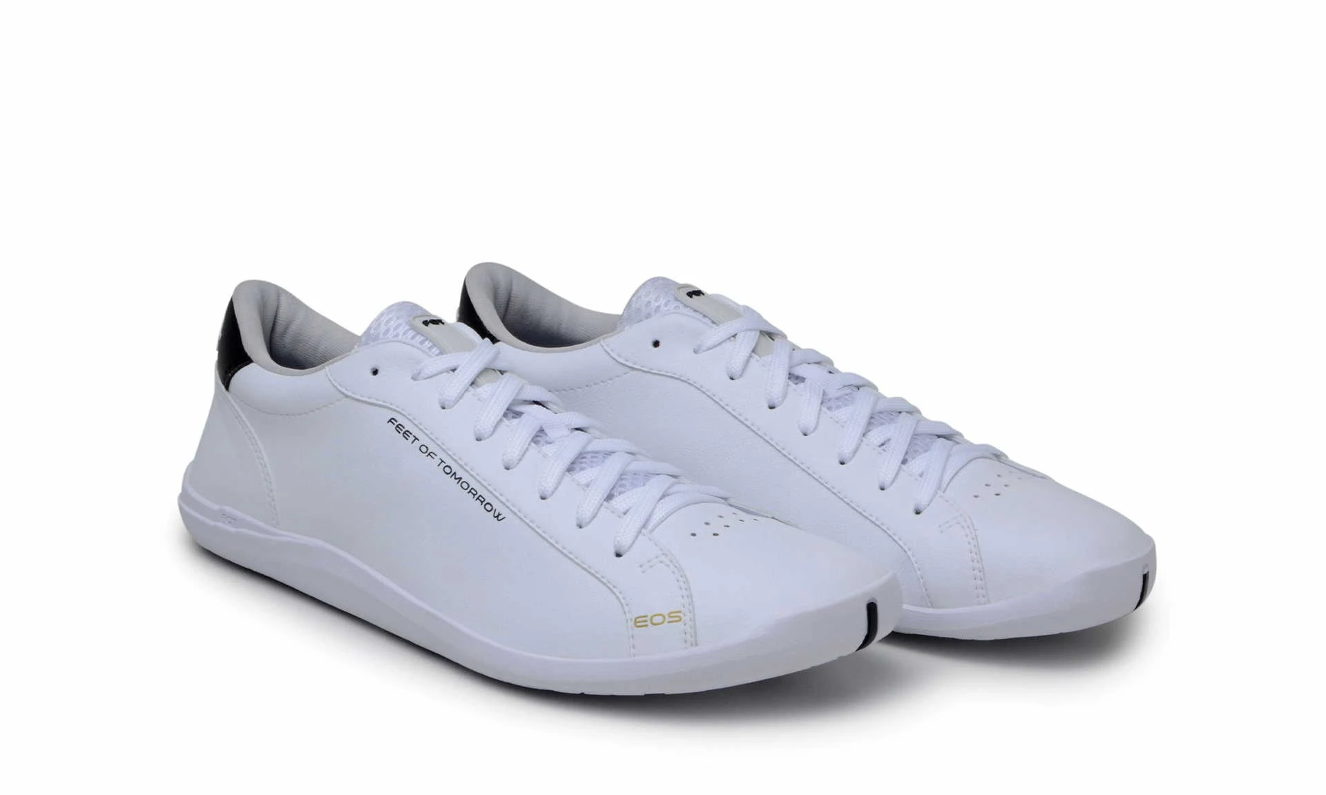 EOS White 2 EOS White - Image 2