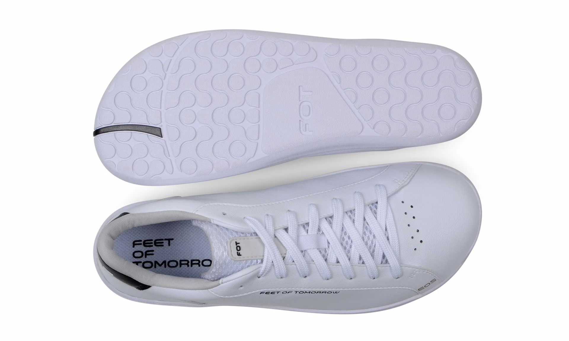 EOS White 3 EOS White - Image 3