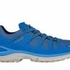 Lowa Innox EVO GTX Lo Royal/black
