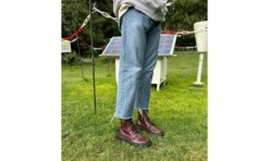 1992 Burgundy Apple -ALTERCORE Sales Store 006528 7 1